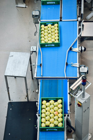 Desinfektion in der Lebensmittel Industrie